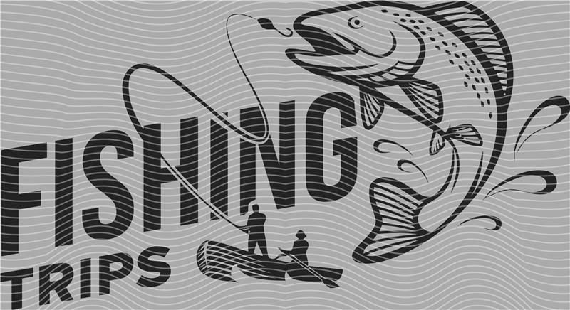 Fishing Series-DY 200
